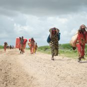 Helps us raise fund for safe guarding human right and refugees initiatives