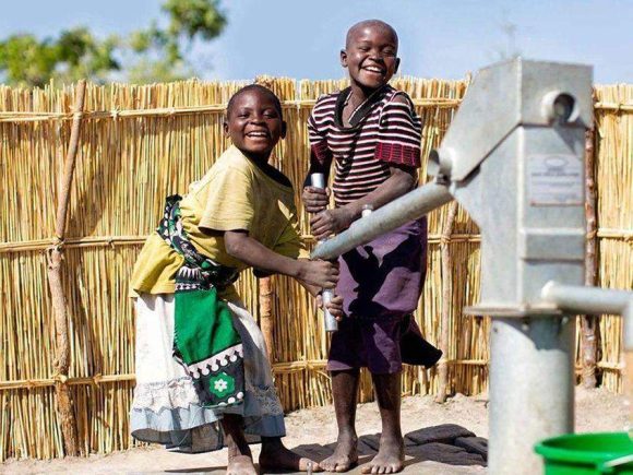 25 startups best to sell organic products